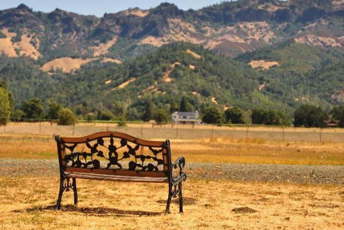 Duffy's Napa Valley Rehab Gallery
